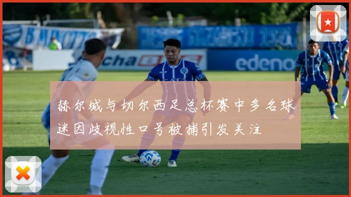 赫尔城与切尔西足总杯赛中多名球迷因歧视性口号被捕引发关注