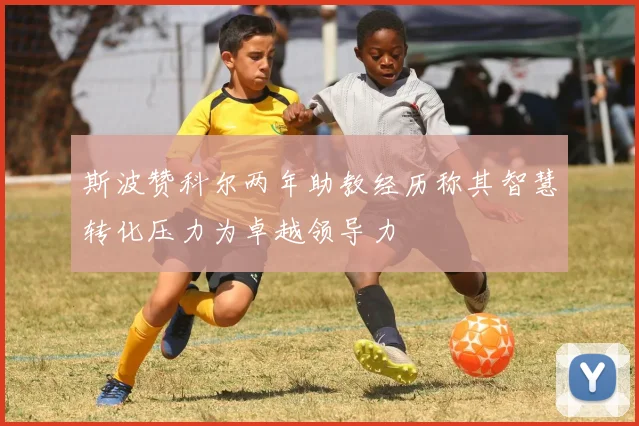 斯波赞科尔两年助教经历称其智慧转化压力为卓越领导力