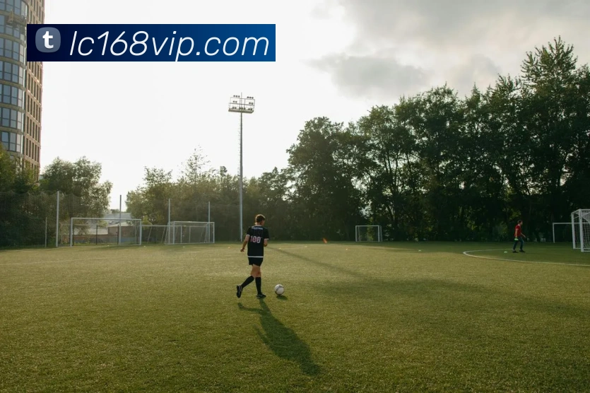 App Interface Preview